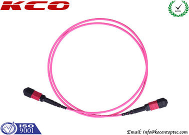 OM4 LSZH Violet Pink MPO MTP Trunk Cable and MPO MTP Patch Cord for Data Center