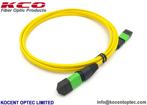 LSZH 8 Core G657A2 MPO MTP Patch Cord Single Mode MPO Trunk Cable Customized Length