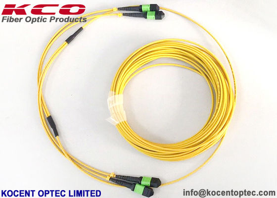 MPO APC 24fo 48 rdzeni G657A1 Elite Utrata wtrąceniowa MTP Fibra Optica Kabel krosowy Trunk